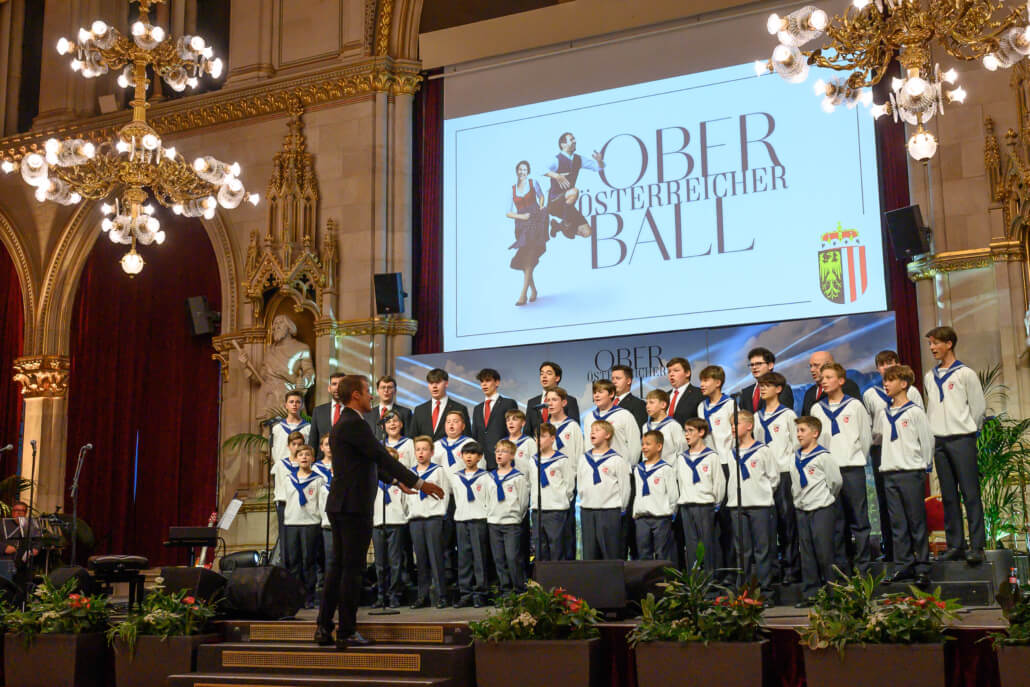 cityfoto_download_ball_der_ooe_006-1030x687